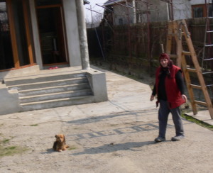 cetatean dumbravei