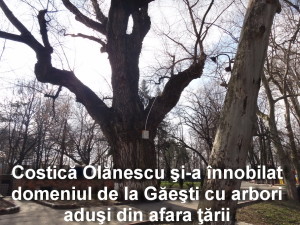 intrarea principala