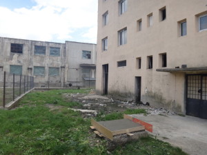 DSC05124