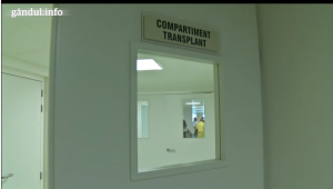 comp. transplant