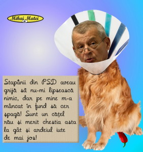 catel op