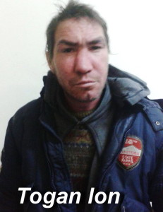 togan ion