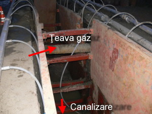 gaze5