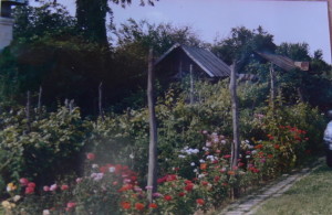 P1290052