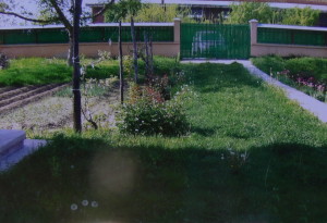 P1290054