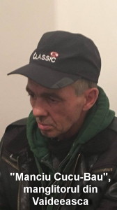 manciucucubau