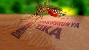 zika-2