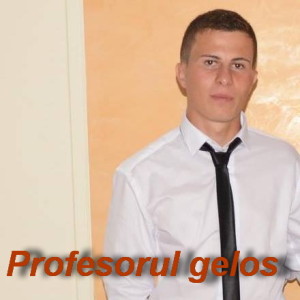 ilie alin florin hulubesti