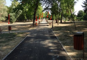 DSC05550