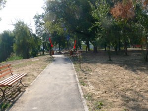 P1310141