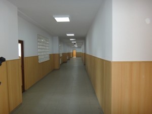 hol1