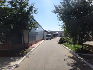 dsc05695