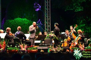 zamfir1