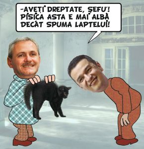GRINDEANUSEF